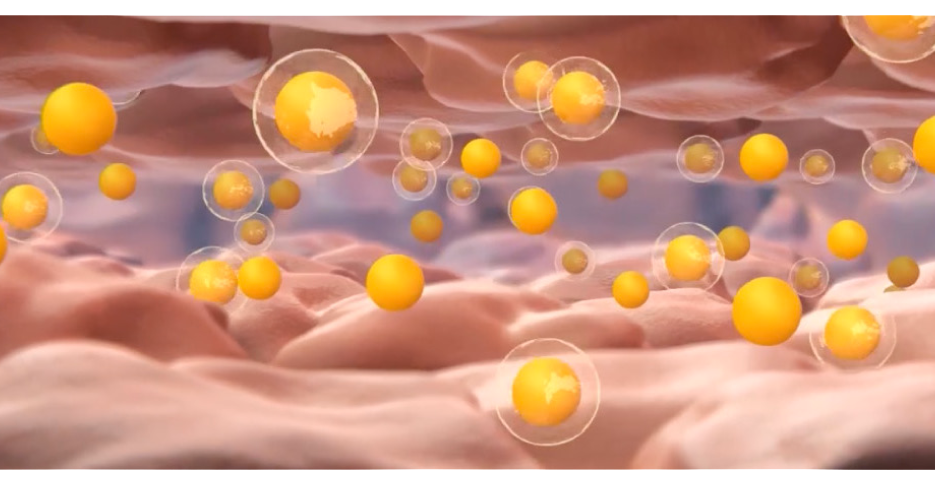 ProСlear-Инкапсулированный-ретинол copy.png